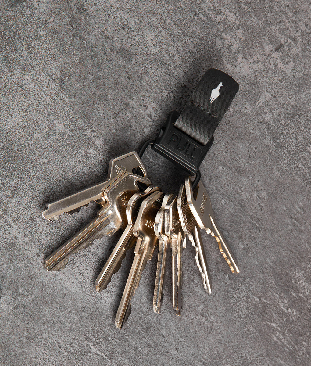 HUB Keychain